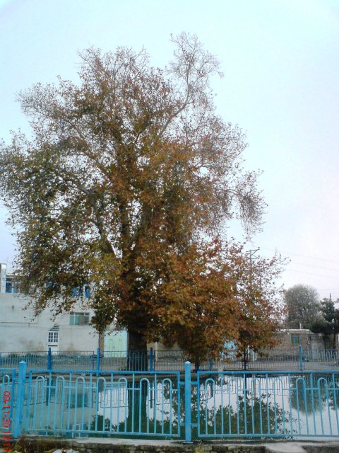 میدان جمال آباد جغتای